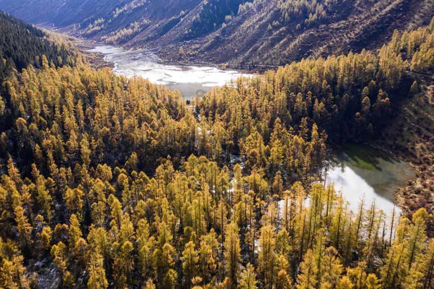 曝光台:福鼎市太姥山林维仁电动车行