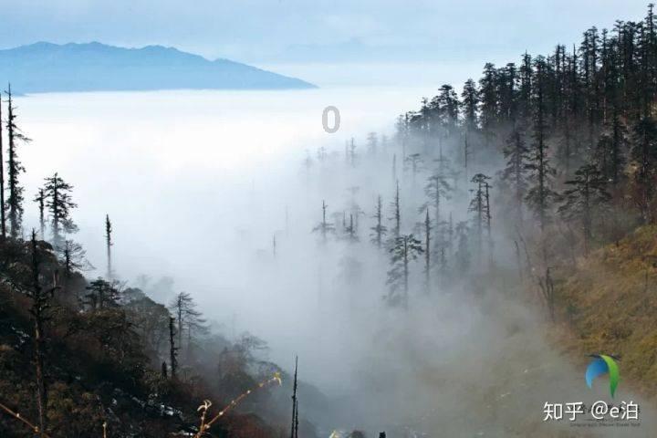 燃烧吧大脑装瓶子游戏