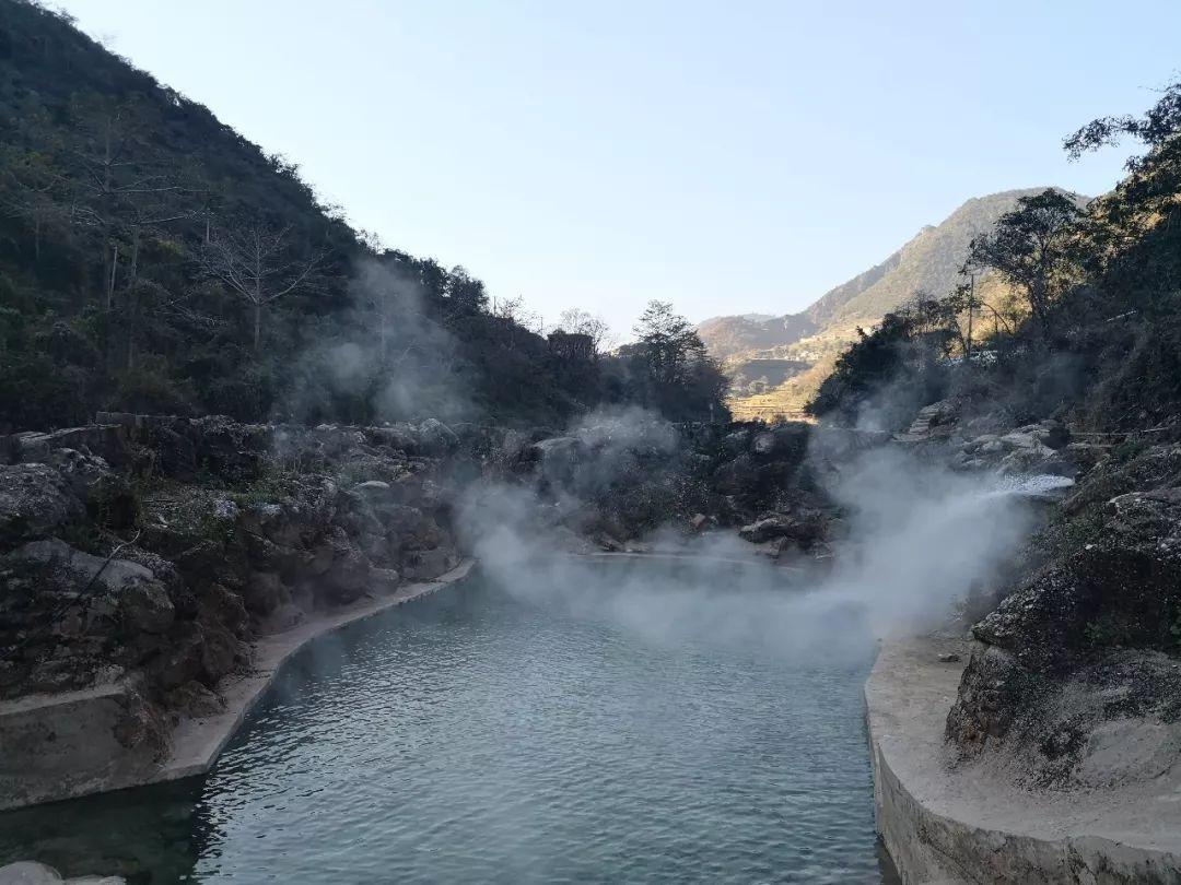 动物帮帮忙保卫家园