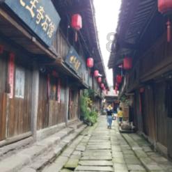 救援袋鼬